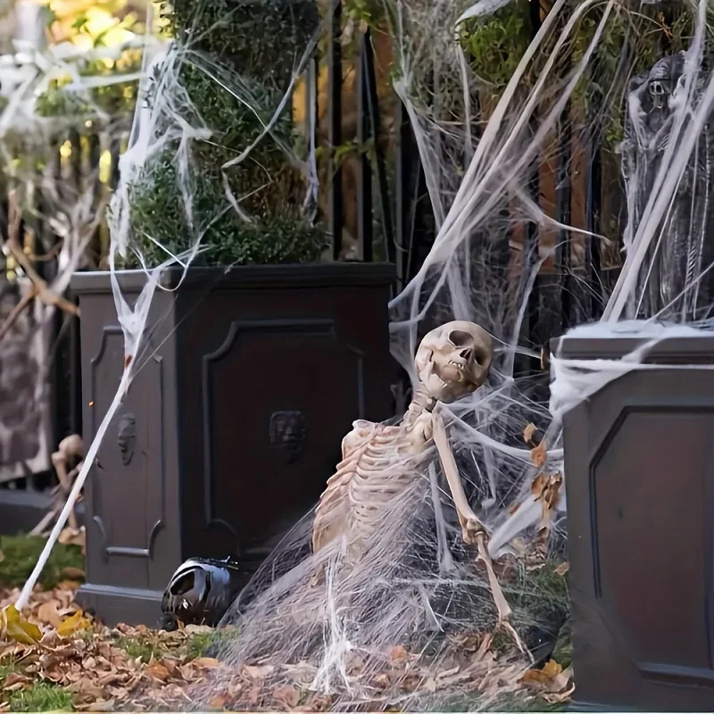 2마리의 거미가 함께 있는 늘어나는 거미줄, 할로윈 파 - Spider Web Halloween Decoration 리뷰 및 가격